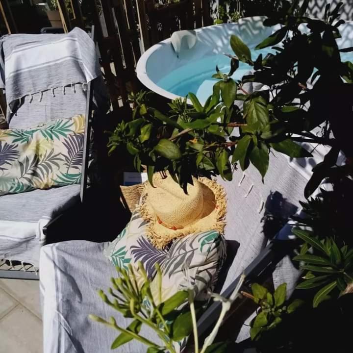 Bed and Breakfast Le Petit Patio Aigues-Mortes Zewnętrze zdjęcie