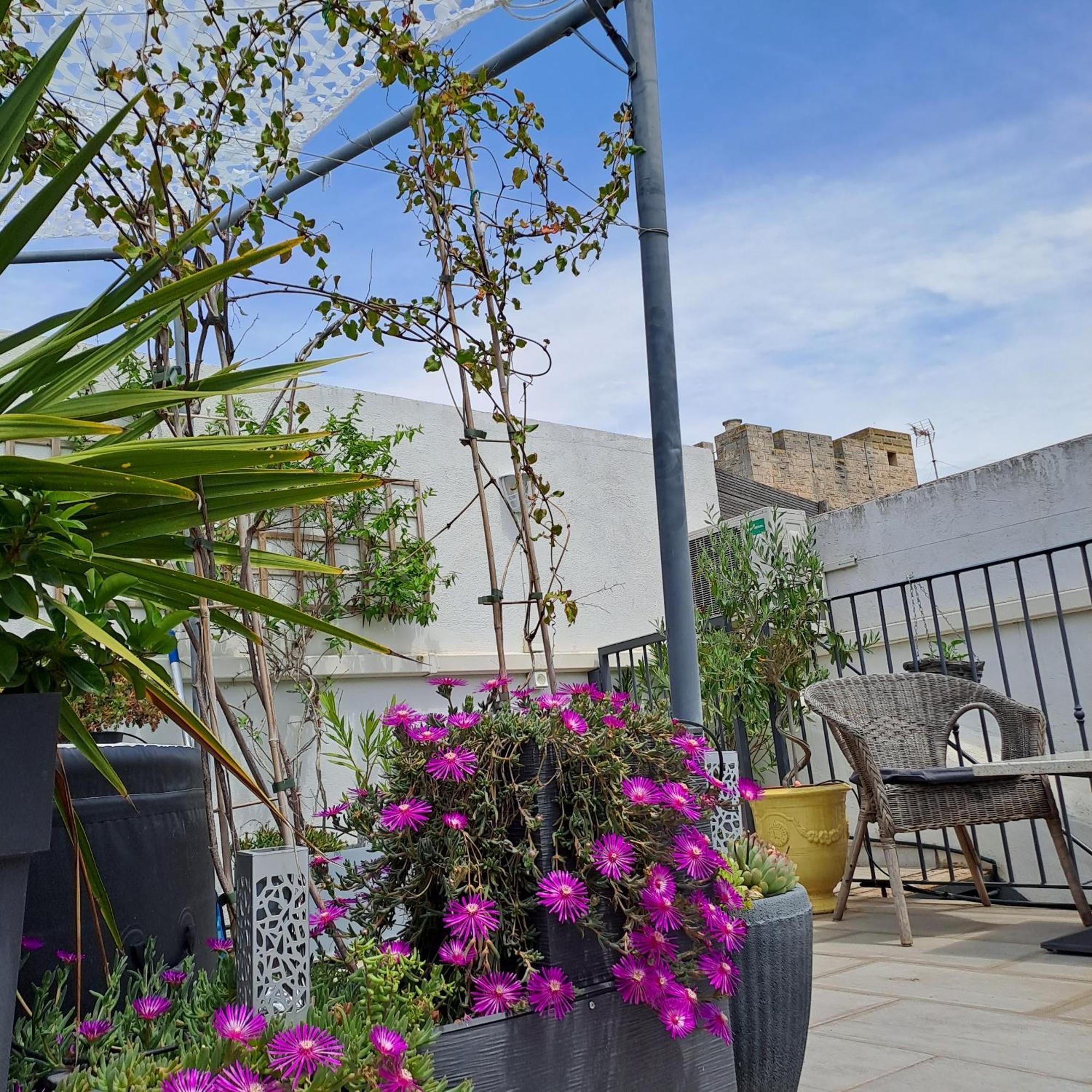Bed and Breakfast Le Petit Patio Aigues-Mortes Zewnętrze zdjęcie